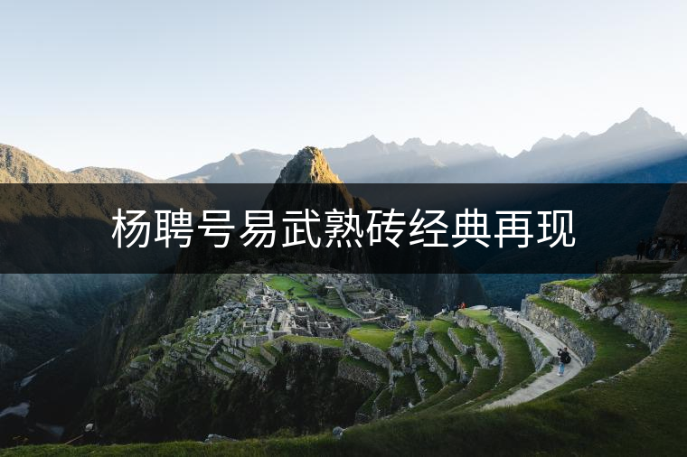 楊聘號易武熟磚經典再現(xiàn) 楊聘號易武熟磚經典再現(xiàn)