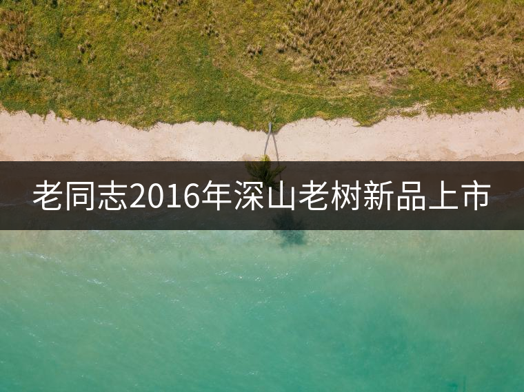 老同志2016年深山老樹(shù)新品上市 老同志2016年深山老樹(shù)新品上市