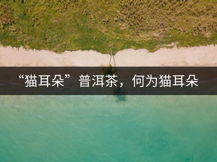 “貓耳朵”普洱茶，何為貓耳朵？