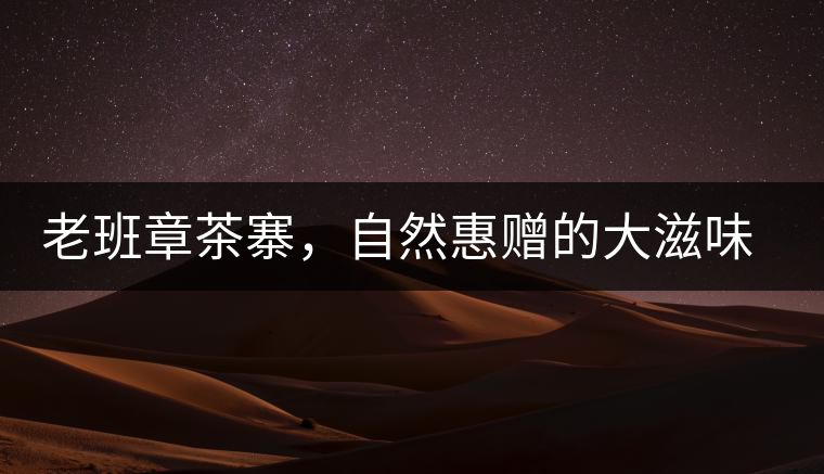 老班章茶寨，自然惠贈(zèng)的大滋味，大滿足