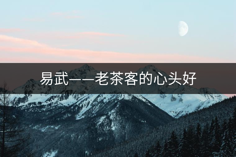 易武——老茶客的心頭好 易武——老茶客的心頭好