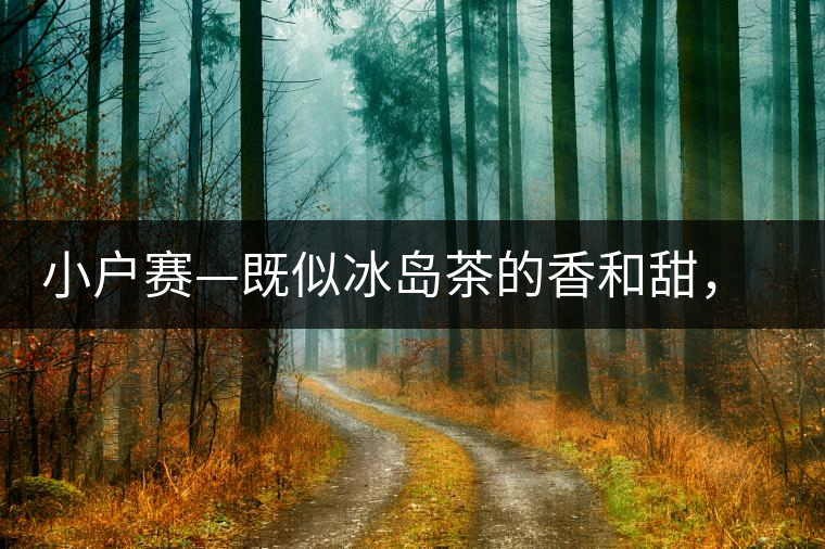 小戶賽—既似冰島茶的香和甜，又有其獨特的純和凈