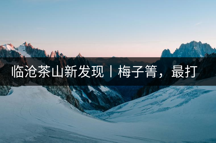 臨滄茶山新發(fā)現(xiàn)丨梅子箐，最打動(dòng)自己的茶山