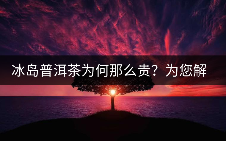 冰島普洱茶為何那么貴？為您解析其中的原由