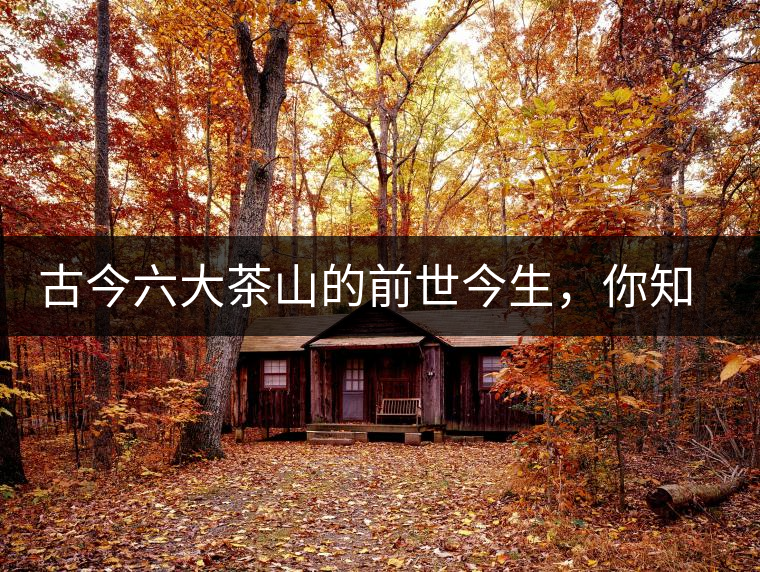 古今六大茶山的前世今生，你知多少？