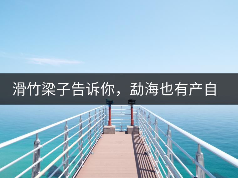 滑竹梁子告訴你，勐海也有產(chǎn)自國有林里的好茶！