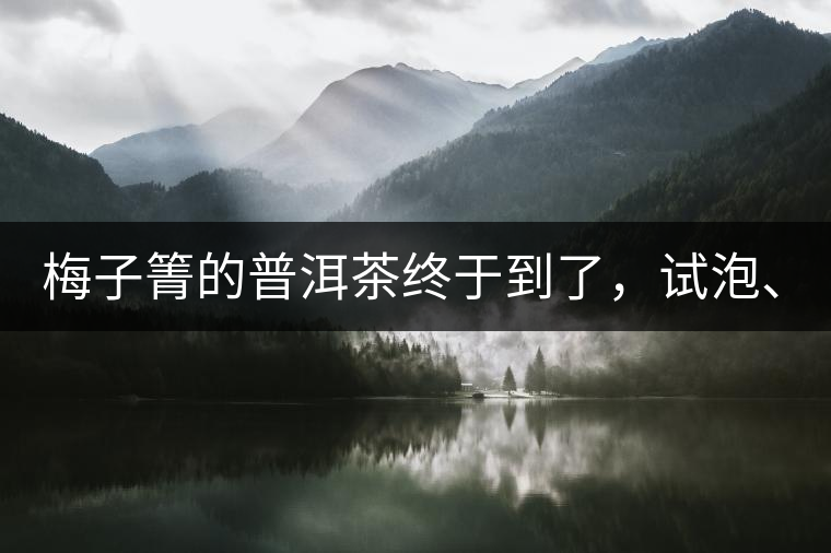 梅子箐的普洱茶終于到了，試泡、、、