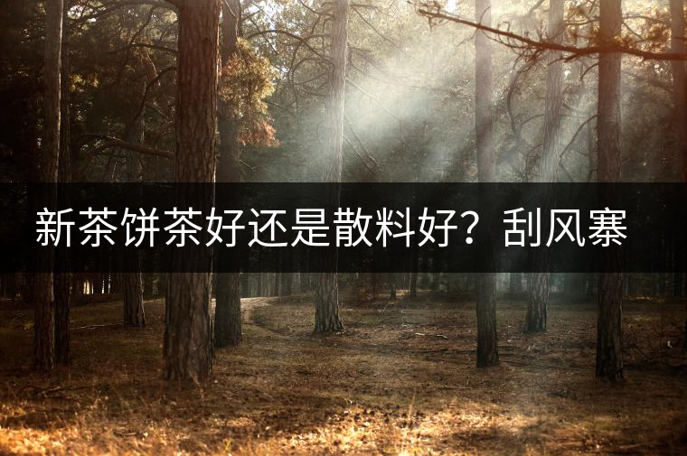 新茶餅茶好還是散料好？刮風(fēng)寨開(kāi)湯評(píng)測(cè)