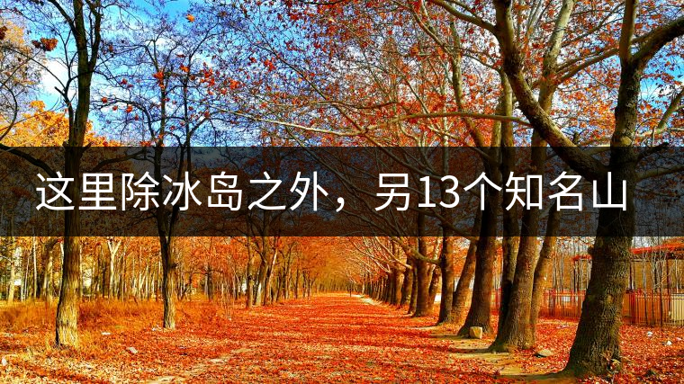 這里除冰島之外，另13個知名山頭普洱茶你知道嗎？