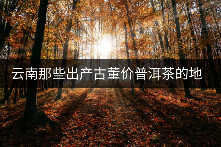 云南那些出產(chǎn)古董價(jià)普洱茶的地方，風(fēng)景如畫(huà)！