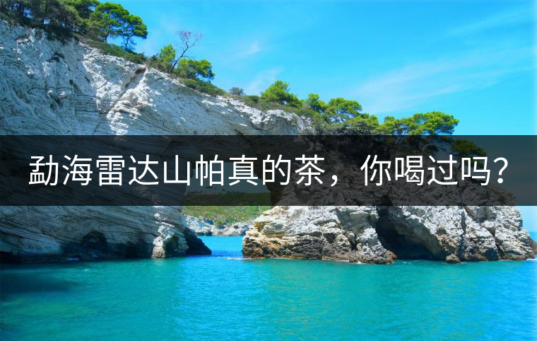 勐海雷達(dá)山帕真的茶，你喝過(guò)嗎？