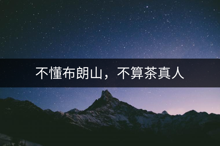 不懂布朗山，不算茶真人