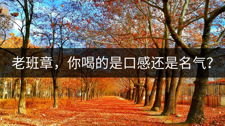 老班章，你喝的是口感還是名氣？