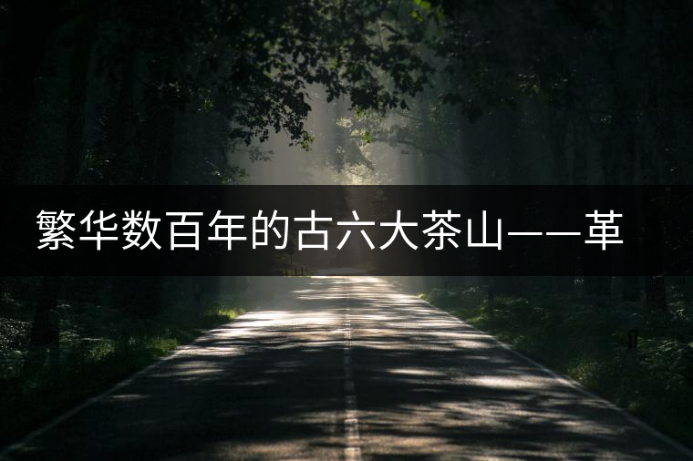 繁華數(shù)百年的古六大茶山——革登古茶山 繁華數(shù)百年的古六大茶山——革登古茶山