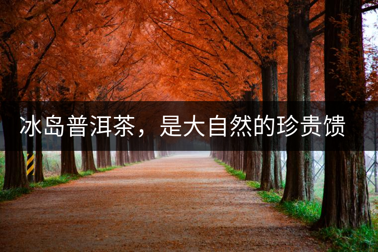 冰島普洱茶，是大自然的珍貴饋贈