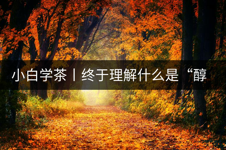 小白學(xué)茶丨終于理解什么是“醇厚、耐泡，回甘”了