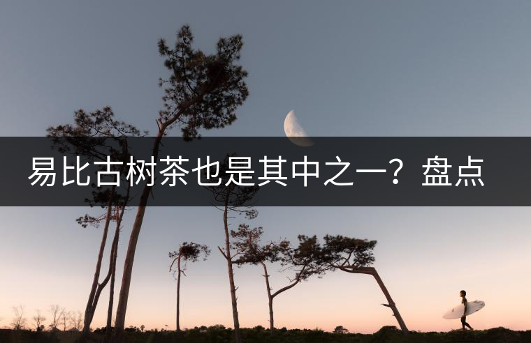 易比古樹茶也是其中之一？盤點當下易武最火的十大古樹茶！