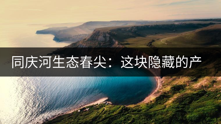 同慶河生態(tài)春尖：這塊隱藏的產(chǎn)茶圣地，你知道嗎？