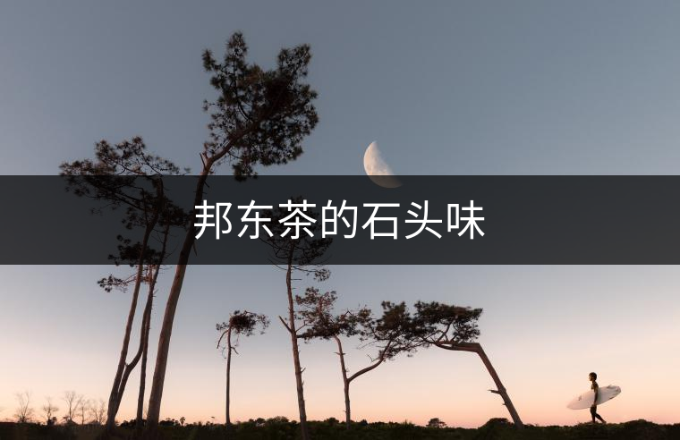 邦東茶的石頭味 邦東茶的石頭味