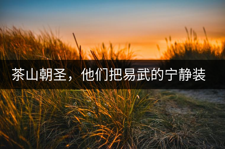 茶山朝圣，他們把易武的寧靜裝進心里，卻把成堆垃圾留在