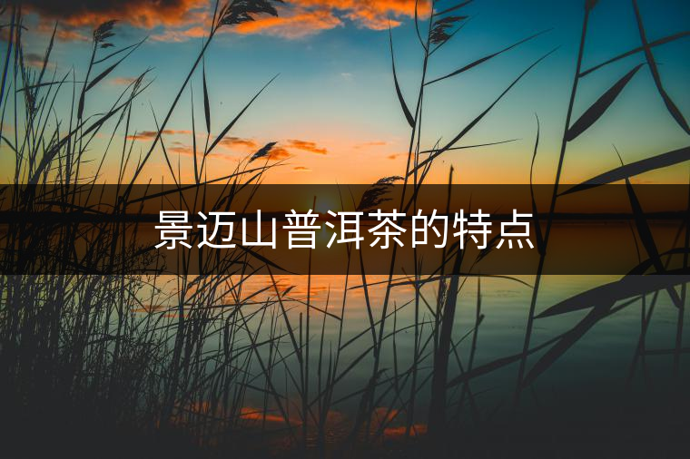 景邁山普洱茶的特點 景邁山普洱茶的特點