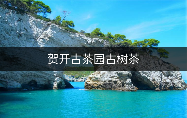 賀開古茶園古樹茶