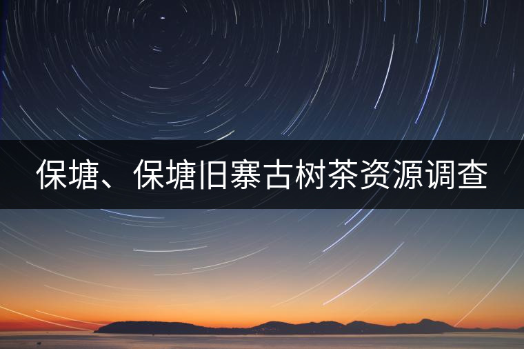 保塘、保塘舊寨古樹茶資源調(diào)查