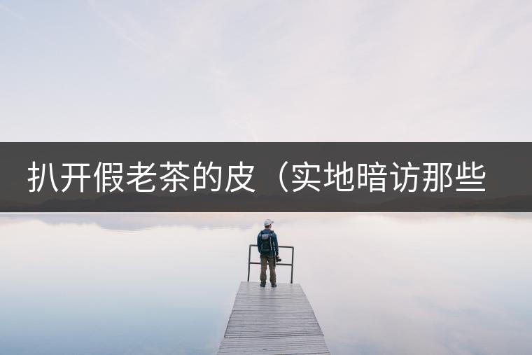 扒開假老茶的皮（實(shí)地暗訪那些千奇百怪的假老茶）