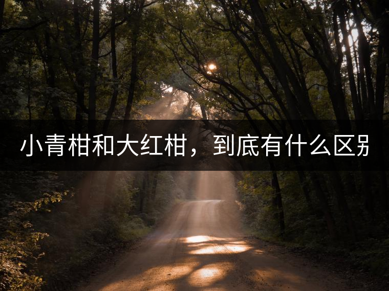 小青柑和大紅柑，到底有什么區(qū)別？