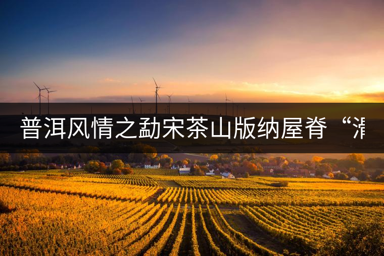 普洱風情之勐宋茶山版納屋脊“滑竹梁子” 普洱風情之勐宋茶山版納屋脊“滑竹梁子”