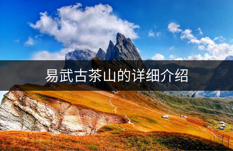易武古茶山的詳細介紹
