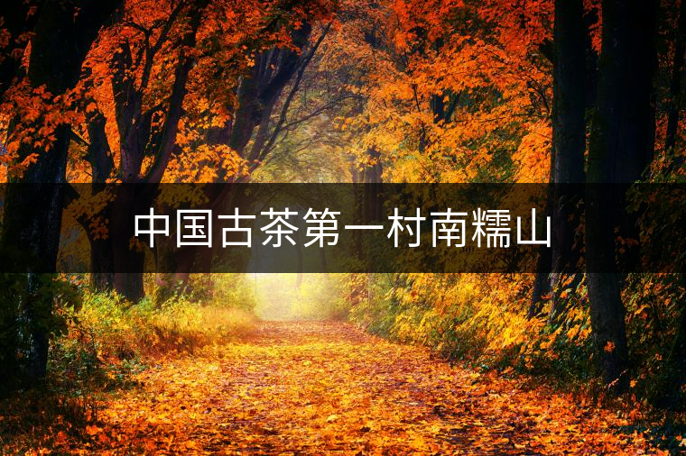 中國(guó)古茶第一村南糯山