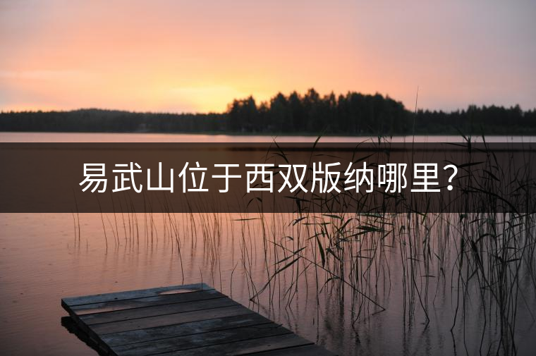 易武山位于西雙版納哪里？