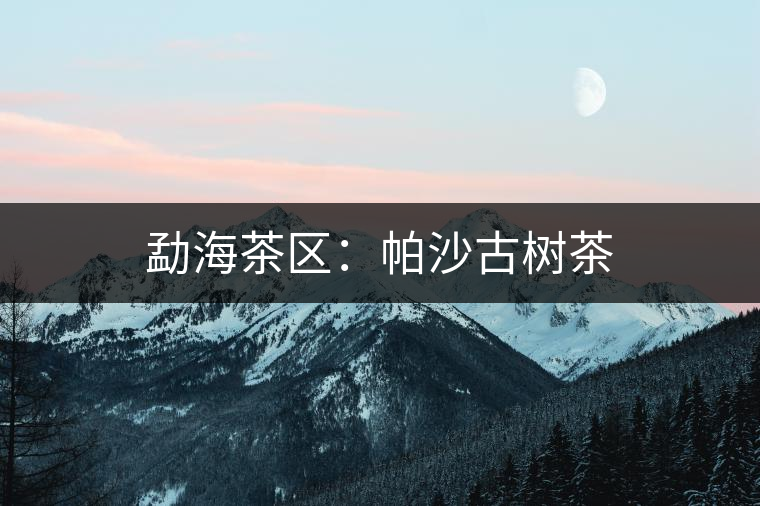 勐海茶區(qū):帕沙古樹(shù)茶 勐海茶區(qū):帕沙古樹(shù)茶