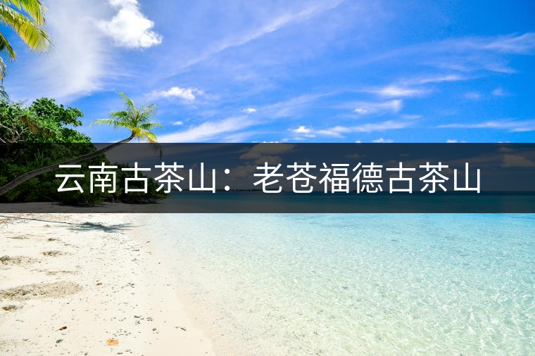 云南古茶山:老蒼福德古茶山 云南古茶山:老蒼福德古茶山