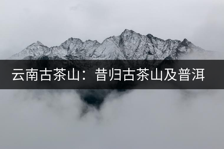 云南古茶山:昔歸古茶山及普洱茶特點(diǎn) 云南古茶山:昔歸古茶山及普洱茶特點(diǎn)