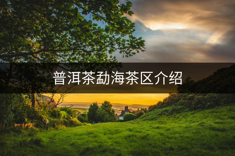 普洱茶勐海茶區(qū)介紹 普洱茶勐海茶區(qū)介紹