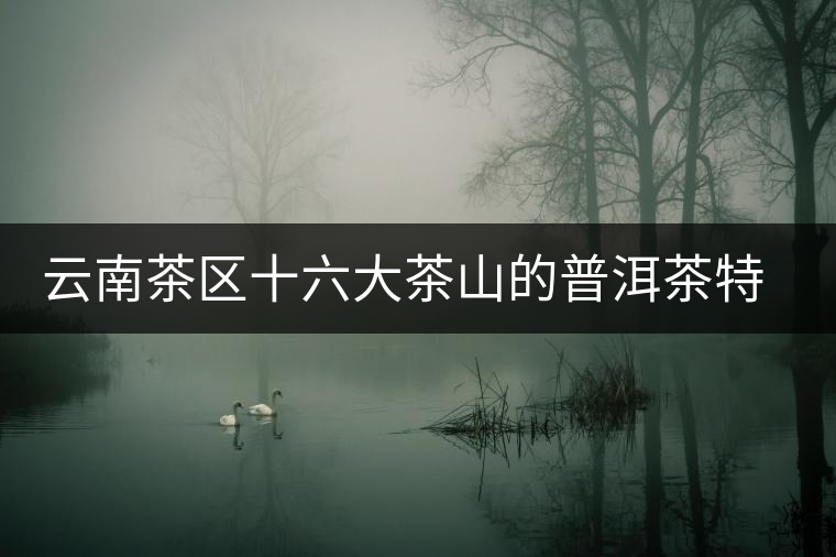云南茶區(qū)十六大茶山的普洱茶特色