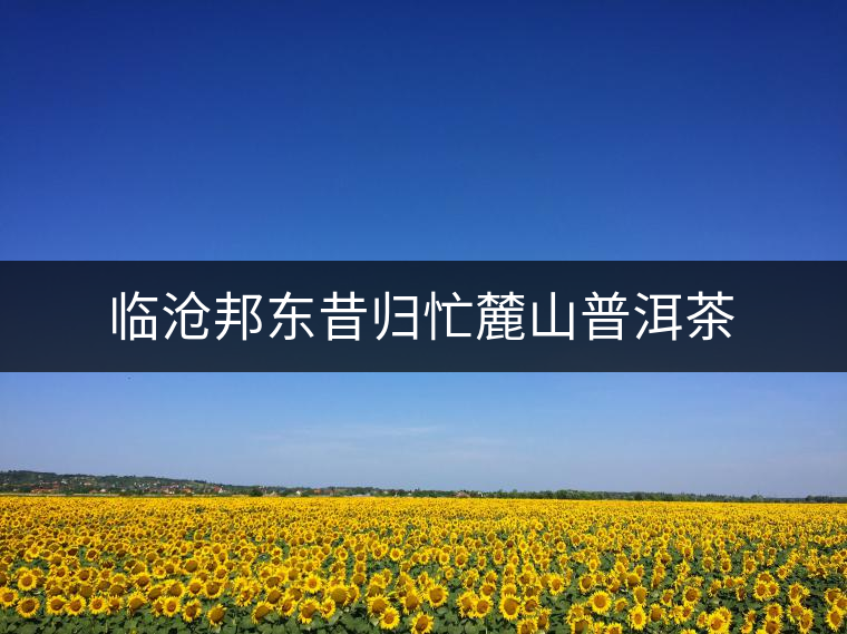 臨滄邦東昔歸忙麓山普洱茶