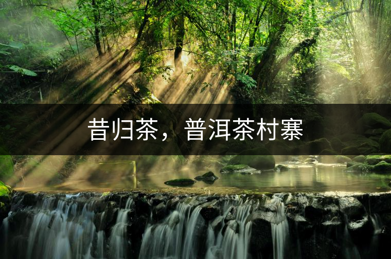 昔歸茶,普洱茶村寨 昔歸茶,普洱茶村寨