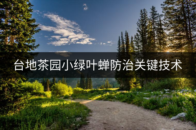 臺(tái)地茶園小綠葉蟬防治關(guān)鍵技術(shù) 臺(tái)地茶園小綠葉蟬防治關(guān)鍵技術(shù)