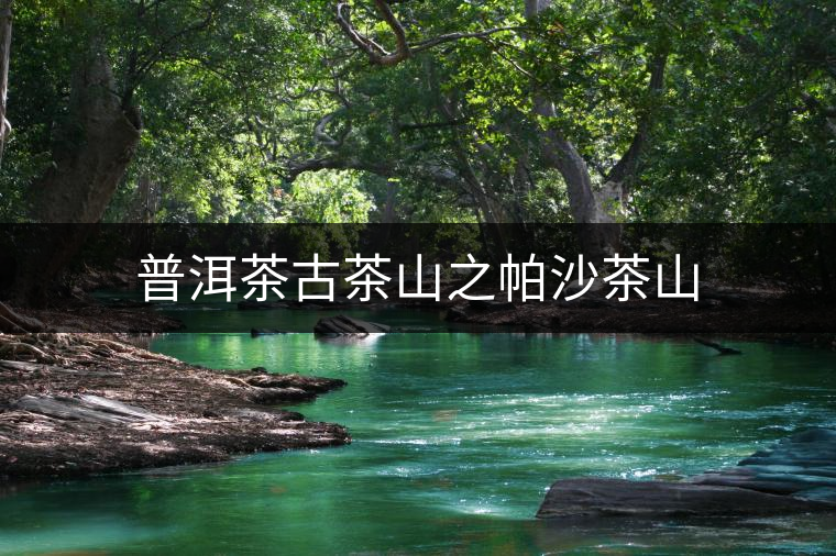 普洱茶古茶山之帕沙茶山 普洱茶古茶山之帕沙茶山