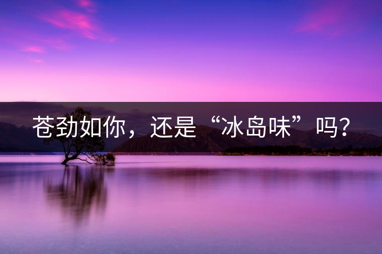 蒼勁如你，還是“冰島味”嗎？