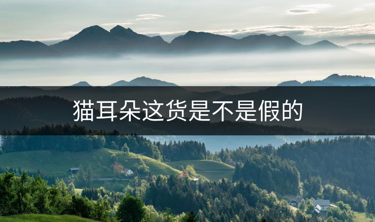 貓耳朵這貨是不是假的 貓耳朵這貨是不是假的