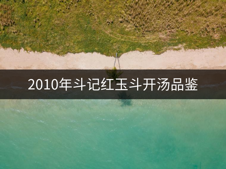 2010年斗記紅玉斗開湯品鑒