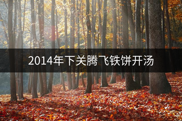 2014年下關(guān)騰飛鐵餅開湯 2014年下關(guān)騰飛鐵餅開湯