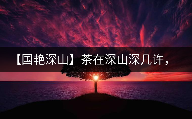 【國艷深山】茶在深山深幾許，布朗味釅釅幾分！