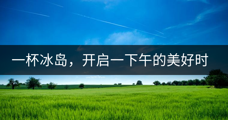 一杯冰島，開啟一下午的美好時光