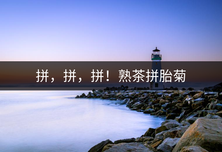 拼，拼，拼！熟茶拼胎菊