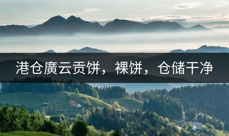 港倉廣云貢餅，裸餅，倉儲(chǔ)干凈